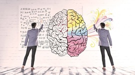 Timeline: Historia y/o antecedentes de la Neuroeducación.