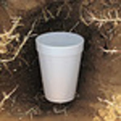 Timeline: Decom dig Timeline