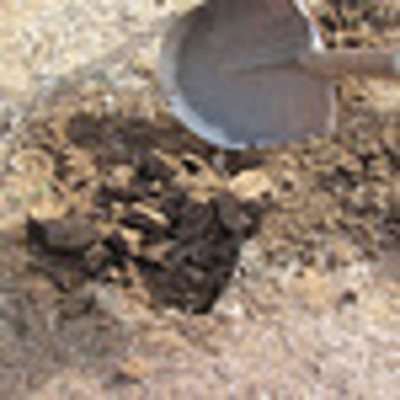 Timeline: decomp.dig