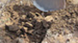 Timeline: decomp.dig