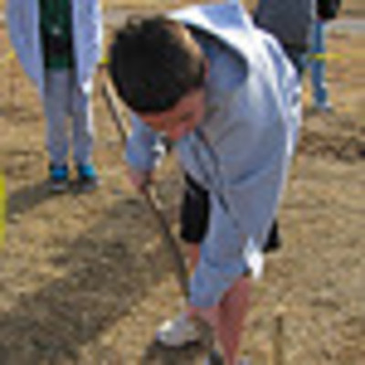 Timeline: Decomposition Dig