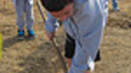 Timeline: Decomposition Dig