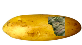 Timeline: Colonial America Timeline