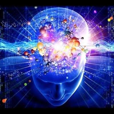 Timeline: ¿De donde viene y para donde va el Cerebro?