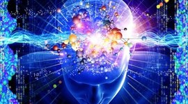 Timeline: ¿De donde viene y para donde va el Cerebro?