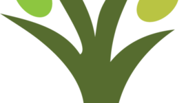 Timeline: Mi línea del tiempo