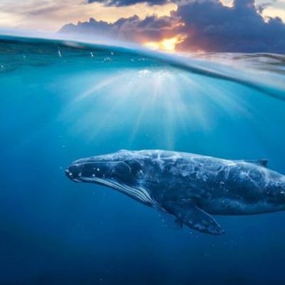 Timeline: The Trip to the End of the Earth