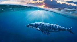 Timeline: The Trip to the End of the Earth