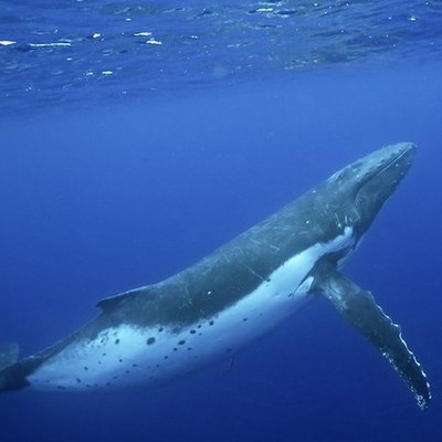 Timeline: The Day Ryn turns 4