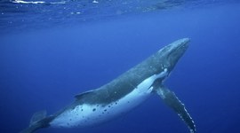 Timeline: The Day Ryn turns 4