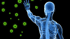 Timeline: Immune System Timeline