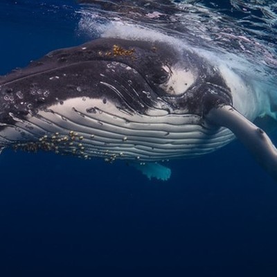 Timeline: The Day I Turn 15