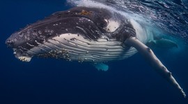 Timeline: The Day I Turn 15