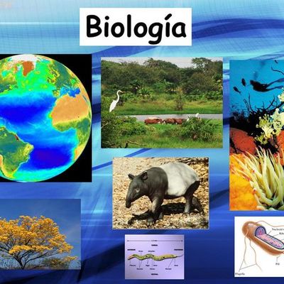 Timeline: Linea del tiempo en la biología siglos XX y  Xl