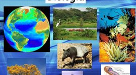 Timeline: Linea del tiempo en la biología siglos XX y  Xl