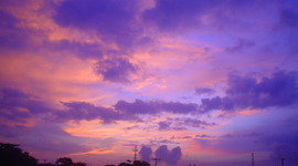 Timeline: Linea del tiempo