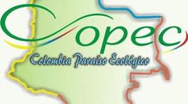 Timeline: PROBLEMATICA  AMBIENTAL