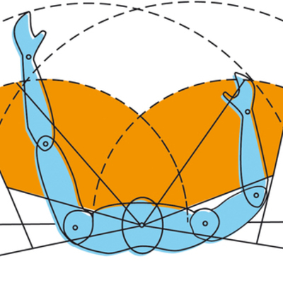 Timeline: Historia de la ergonomía en México