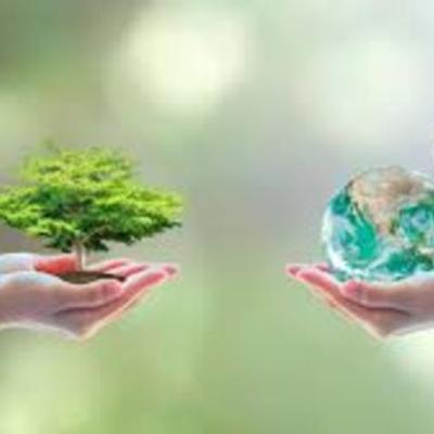 Timeline: linea del tiempo