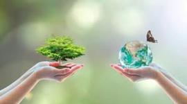 Timeline: linea del tiempo