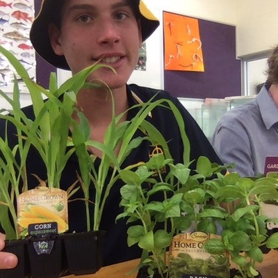 Timeline: my timeline