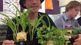 Timeline: my timeline