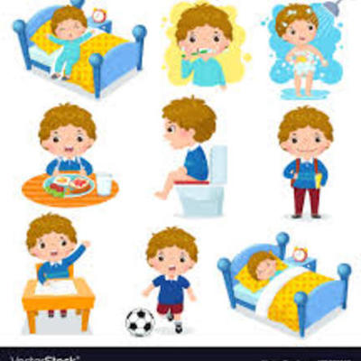 Timeline: My daily routine