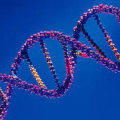 Timeline: 10 momentos importantes de la GENÈTICA