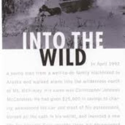 Timeline: Into the Wild