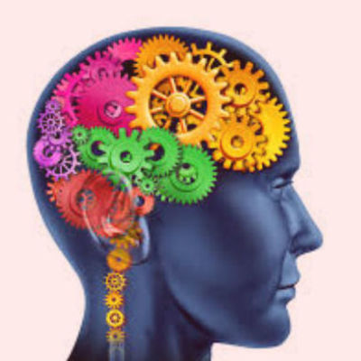 Timeline: El modelo cognitivo