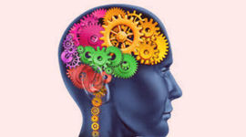 Timeline: El modelo cognitivo