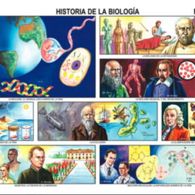 Timeline: Historia de la biología Siglo XX al XIX