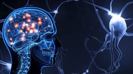 Timeline: Neurociencias una historia de conocimiento