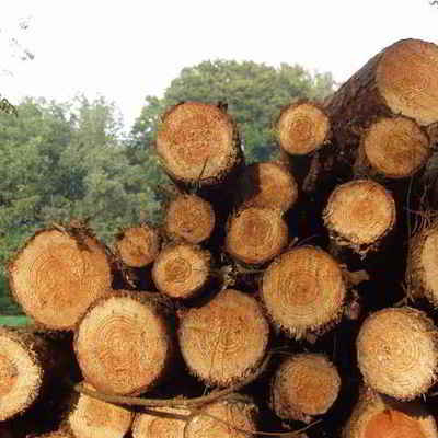 Timeline: Problemática ambiental de la producción y consumo de recursos en Colombia