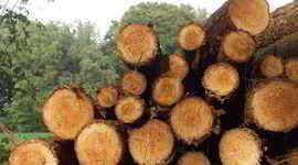 Timeline: Problemática ambiental de la producción y consumo de recursos en Colombia