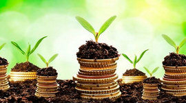 Timeline: 2.1 la planificación para el desarrollo