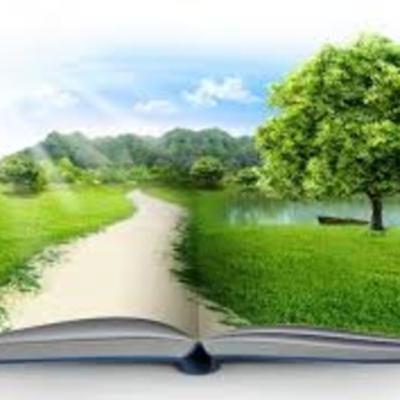 Timeline: Problemática ambiental en Colombia