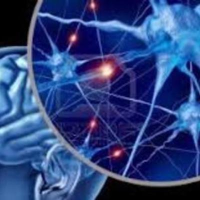 Timeline: HISTORIA DE NEUROCIENCIA