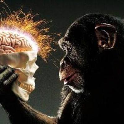 Timeline: Evolución del pensamiento científico