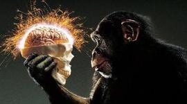 Timeline: Evolución del pensamiento científico