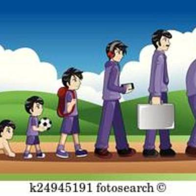 Timeline: Evolución del estudiante