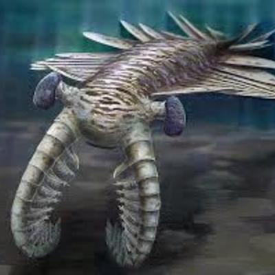 Timeline: A explosión da vida