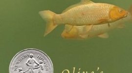 Timeline: Olive's Ocean by Kevin Henkes