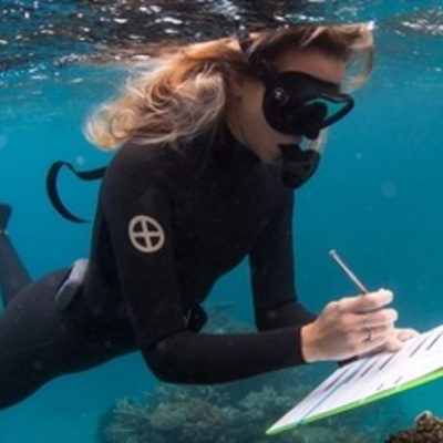 Timeline: Long Term Goal - Go to College for Marine Biology