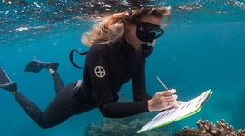 Timeline: Long Term Goal - Go to College for Marine Biology
