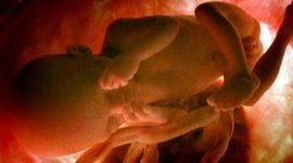 Timeline: Desarrollo de Lenguaje