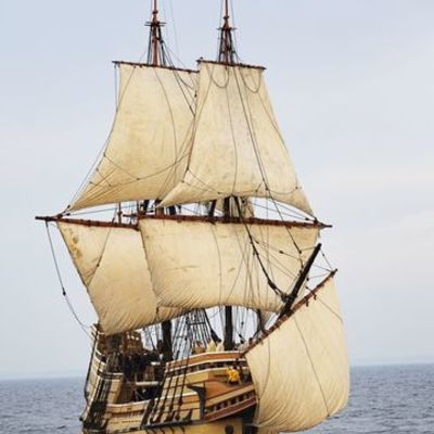 Timeline: social studies