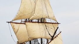 Timeline: social studies