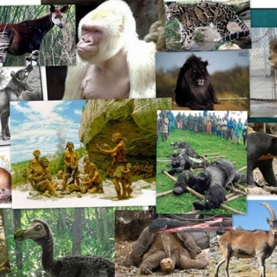 Timeline: Especies extintas