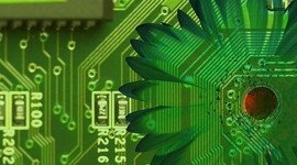 Timeline: Desarrollo Sustentable